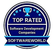 Custom-Software-Development-Companies 2024